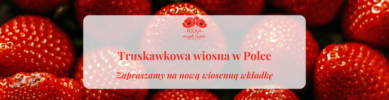 Truskawkowa wiosna w Polce