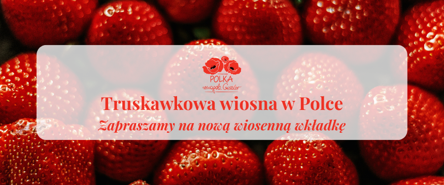 Truskawkowa wiosna w Polce