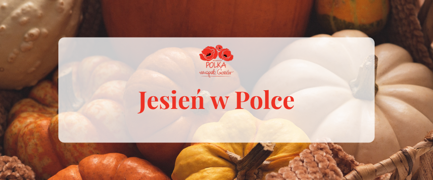 Kolejna odsłona jesieni w Polce